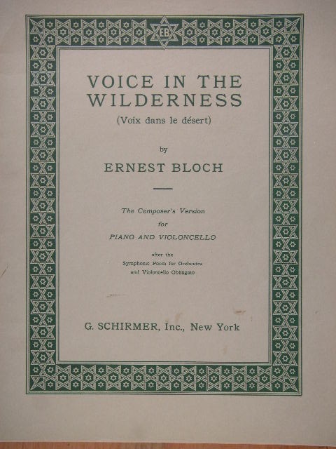 Image for Voice in the Wilderness