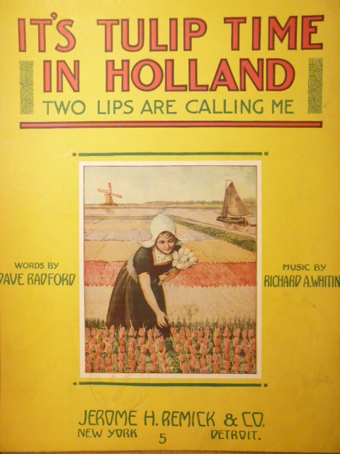 Image for It's Tulip Time in Holland
