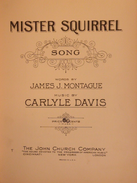 Image for Mister Squirrel
