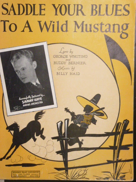 Image for Saddle Your Blues To A Wild Mustang