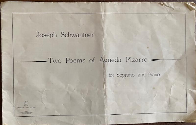 Image for Two Poems of Agueda Pizarro