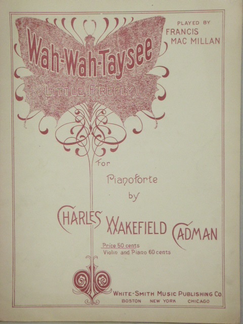 Image for Wah-Wah-Taysee (Little Firefly)