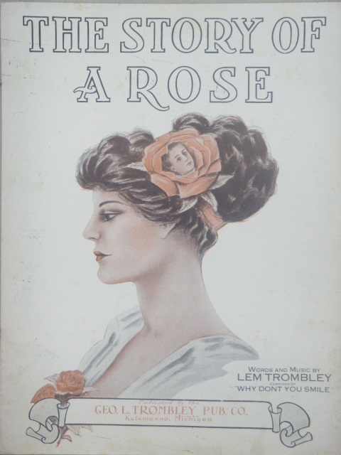 Image for The Story of a Rose
