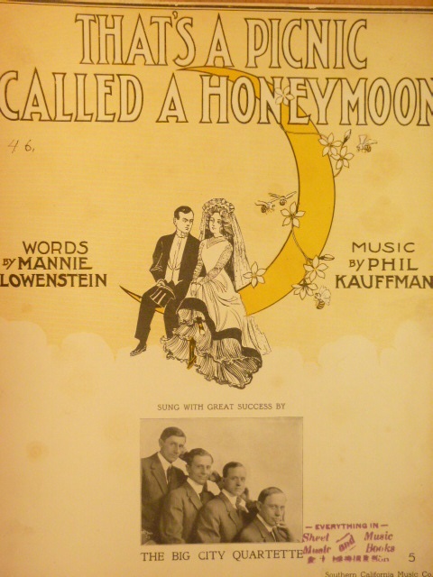 Image for That's A Picnic Called A Honeymoon